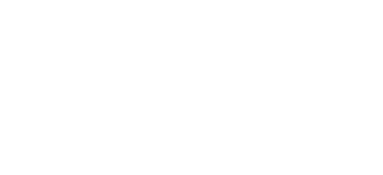 Rismor Technologies Ltd